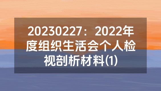 20230227：2022年度组织生活会个人检视剖析材料(1)