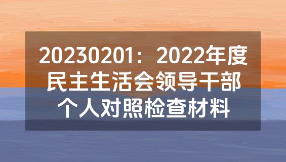 20230201：2022年度民主生活会领导干部个人对照检查材料