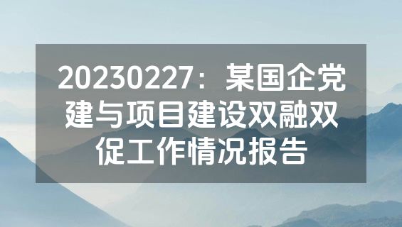 20230227：某国企党建与项目建设双融双促工作情况报告