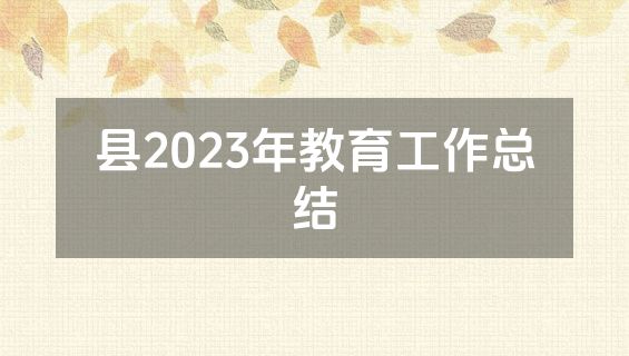 县2023年教育工作总结