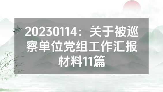 20230114：关于被巡察单位党组工作汇报材料11篇