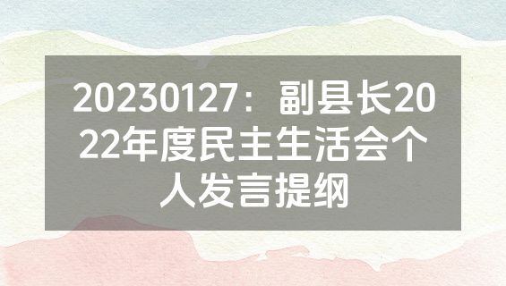 20230127：副县长2022年度民主生活会个人发言提纲