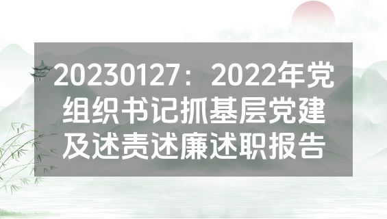 20230127：2022年党组织书记抓基层党建及述责述廉述职报告