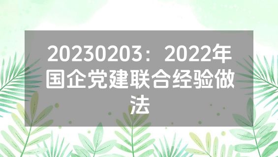20230203：2022年国企党建联合经验做法