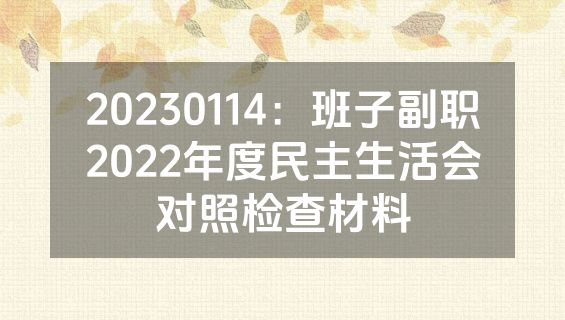 20230114：班子副职2022年度民主生活会对照检查材料