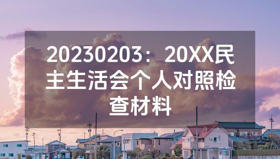 20230203：20XX民主生活会个人对照检查材料