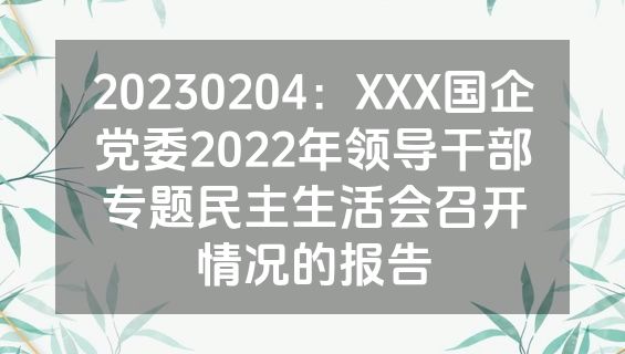 20230204：XXX国企党委2022年领导干部专题民主生活会召开情况的报告