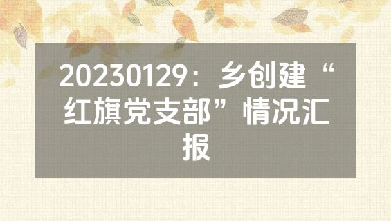 20230129：乡创建“红旗党支部”情况汇报