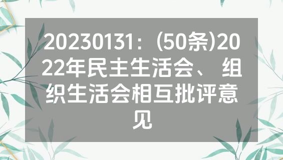 20230131：(50条)2022年民主生活会、 组织生活会相互批评意见