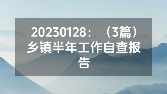 20230128：（3篇）乡镇半年工作自查报告