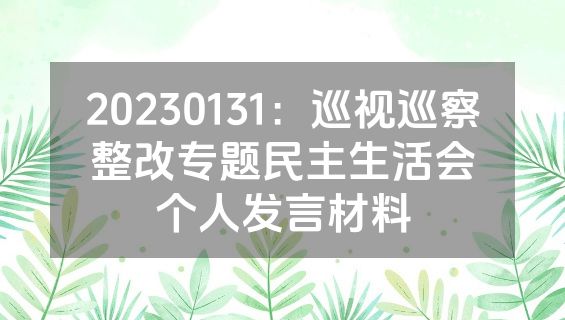 20230131：巡视巡察整改专题民主生活会个人发言材料