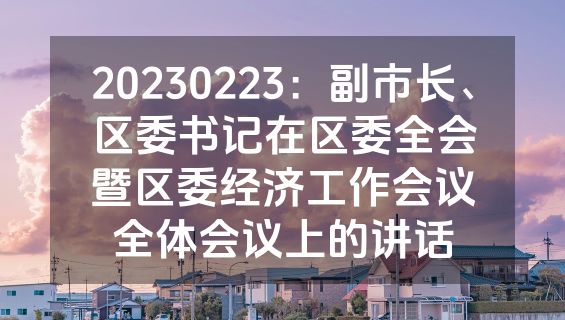 20230223：副市长、区委书记在区委全会暨区委经济工作会议全体会议上的讲话