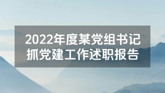 2022年度某党组书记抓党建工作述职报告