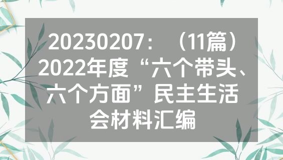 20230207：（11篇）2022年度“六个带头、六个方面”民主生活会材料汇编