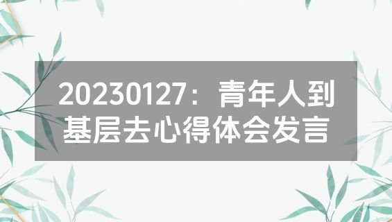 20230127：青年人到基层去心得体会发言