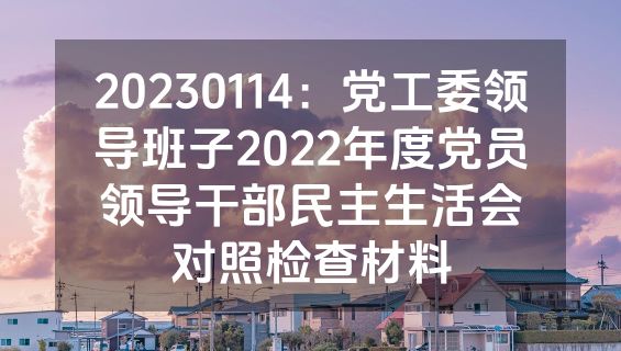 20230114：党工委领导班子2022年度党员领导干部民主生活会对照检查材料