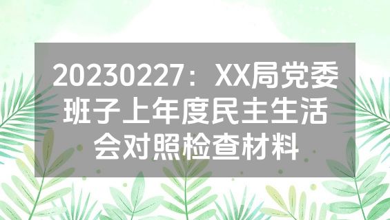 20230227：XX局党委班子上年度民主生活会对照检查材料