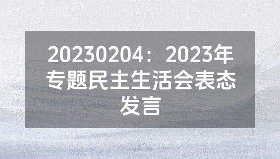 20230204：2023年专题民主生活会表态发言