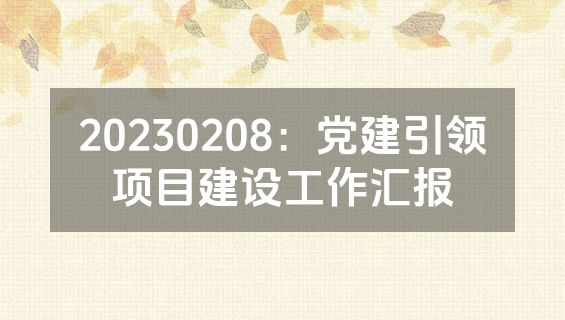 20230208：党建引领项目建设工作汇报