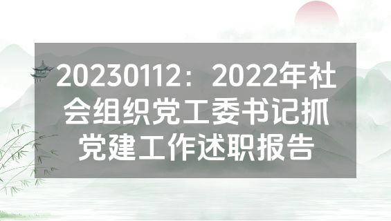 20230112：2022年社会组织党工委书记抓党建工作述职报告