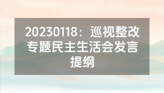 20230118：巡视整改专题民主生活会发言提纲
