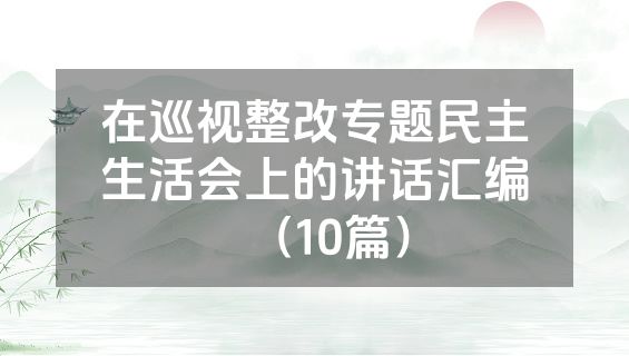 在巡视整改专题民主生活会上的讲话汇编（10篇）