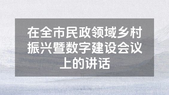 在全市民政领域乡村振兴暨数字建设会议上的讲话