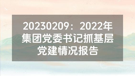 20230209：2022年集团党委书记抓基层党建情况报告