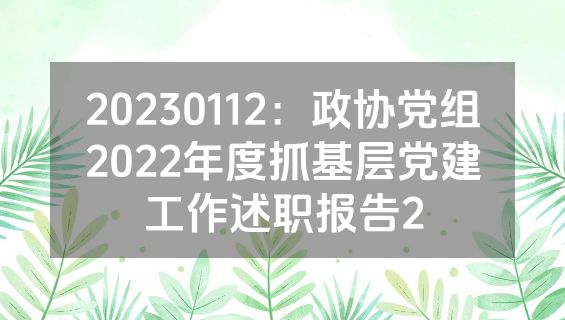 20230112：政协党组2022年度抓基层党建工作述职报告2