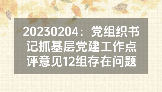 20230204：党组织书记抓基层党建工作点评意见12组存在问题