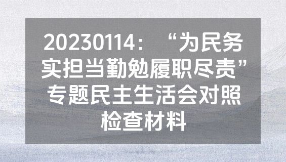 20230114：“为民务实担当勤勉履职尽责”专题民主生活会对照检查材料