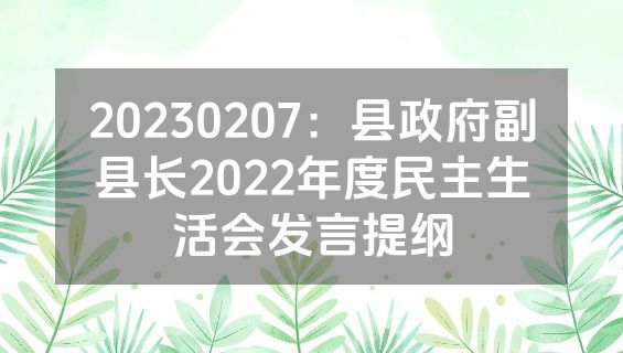 20230207：县政府副县长2022年度民主生活会发言提纲