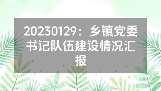 20230129：乡镇党委书记队伍建设情况汇报