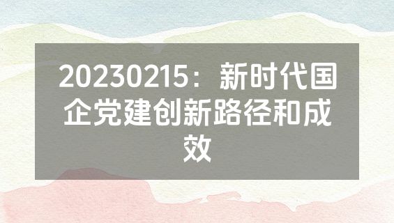 20230215：新时代国企党建创新路径和成效