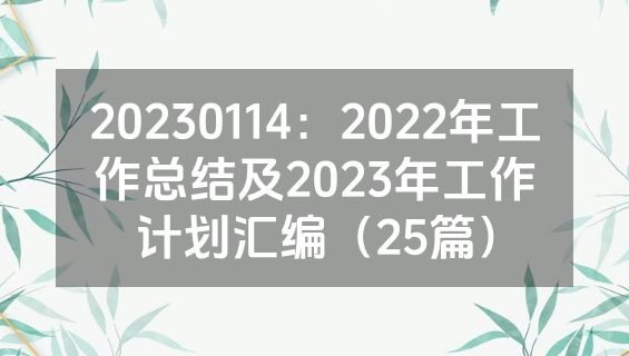 20230114：2022年工作总结及2023年工作计划汇编（25篇）