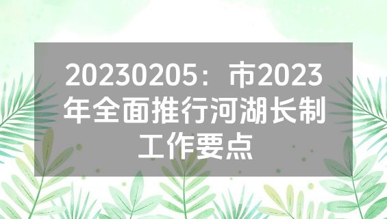 20230205：市2023年全面推行河湖长制工作要点