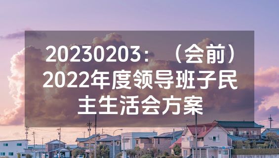 20230203：（会前）2022年度领导班子民主生活会方案
