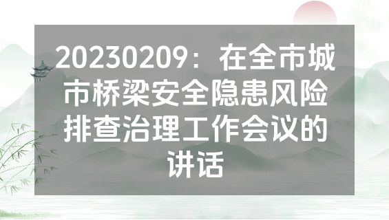 20230209：在全市城市桥梁安全隐患风险排查治理工作会议的讲话