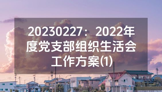 20230227：2022年度党支部组织生活会工作方案(1)