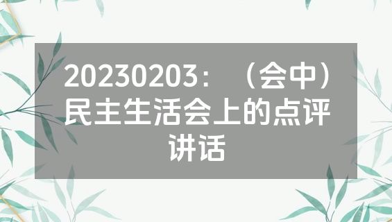 20230203：（会中）民主生活会上的点评讲话