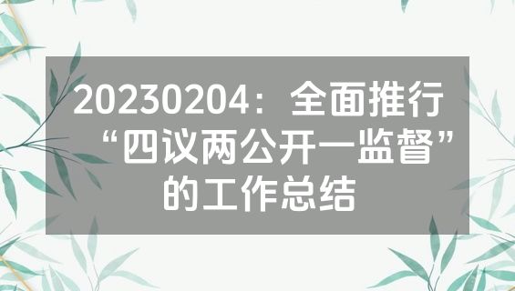 20230204：全面推行“四议两公开一监督”的工作总结
