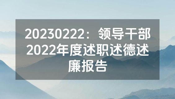 20230222：领导干部2022年度述职述德述廉报告