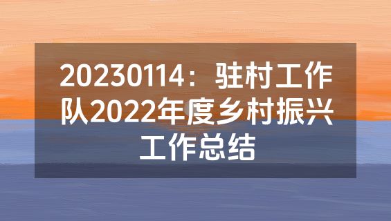 20230114：驻村工作队2022年度乡村振兴工作总结