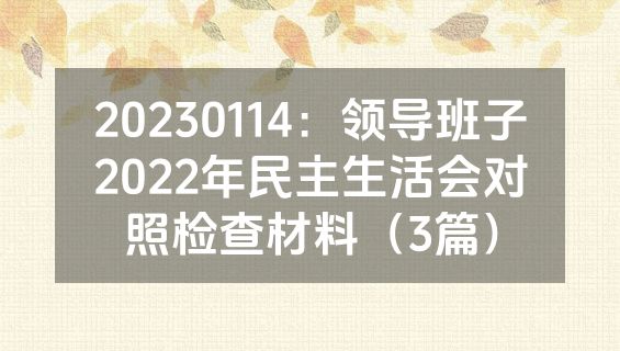 20230114：领导班子2022年民主生活会对照检查材料（3篇）