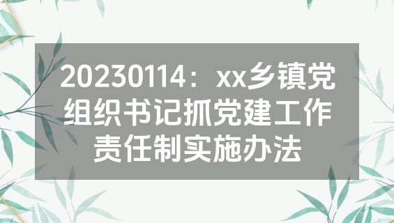 20230114：xx乡镇党组织书记抓党建工作责任制实施办法