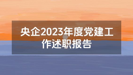 央企2023年度党建工作述职报告