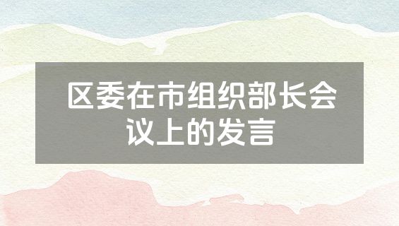 区委在市组织部长会议上的发言