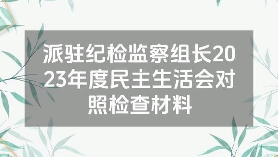 派驻纪检监察组长2023年度民主生活会对照检查材料