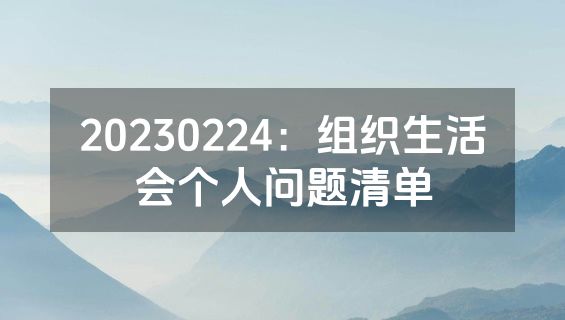 20230224：组织生活会个人问题清单