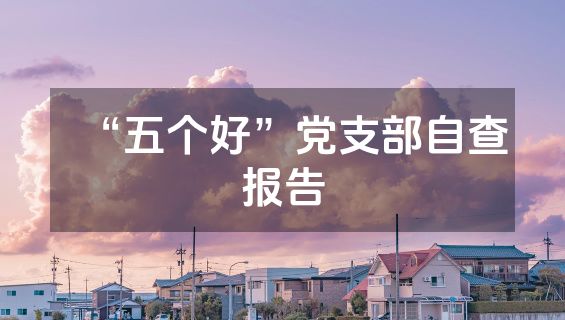 “五个好”党支部自查报告